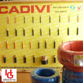 CADIVI